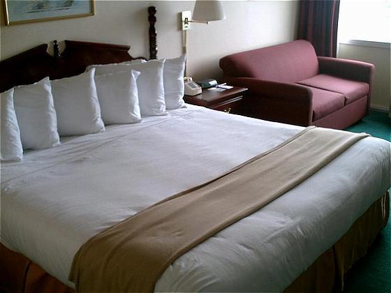 Econo Lodge Inn & Suites Triadelphia - Wheeling Quarto foto